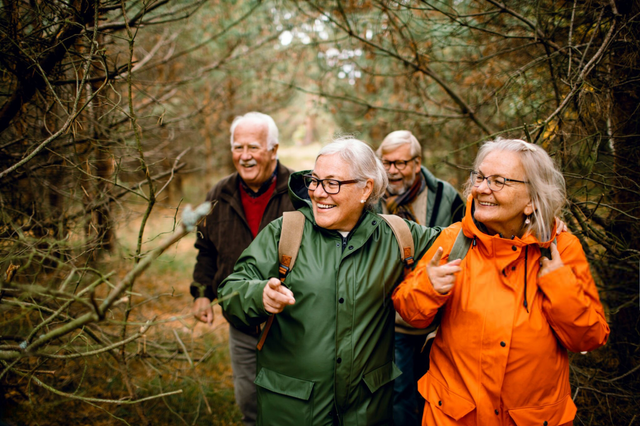 Grounding for Seniors & the Elderly: Enhancing Well-Being Naturally