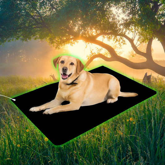 Ground to Heal® Kat- en Honden Mat 