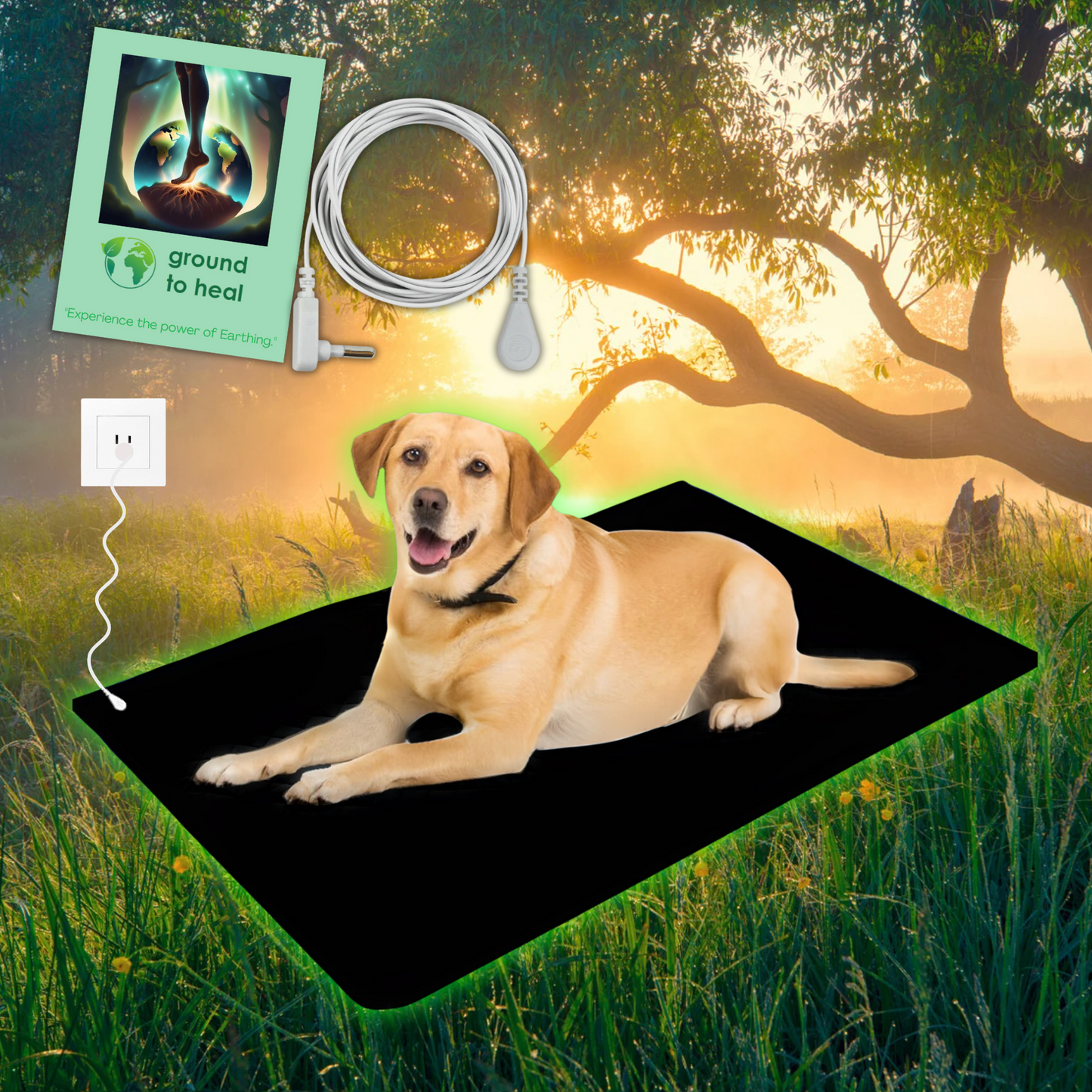 Ground to Heal® Pet Mat